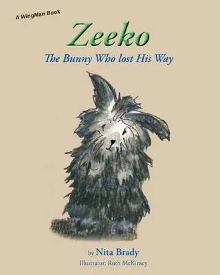 Zeeko El conejito que perdió el rumbo - Zeeko: The Bunny Who lost His Way