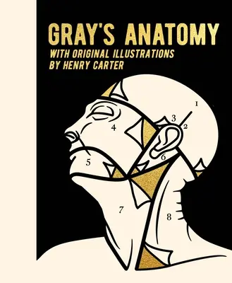 Anatomía de Gray Con ilustraciones originales de Henry Carter - Gray's Anatomy: With Original Illustrations by Henry Carter