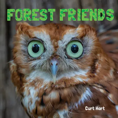 Amigos del bosque - Forest Friends