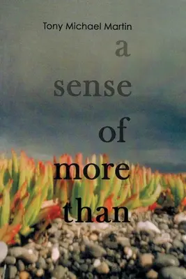 Un sentido de más - A Sense of More Than