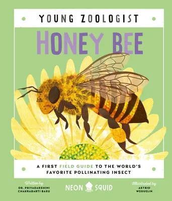 La abeja de la miel (El joven zoólogo): Una primera guía de campo del insecto polinizador favorito del mundo - Honey Bee (Young Zoologist): A First Field Guide to the World's Favorite Pollinating Insect