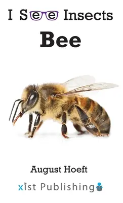 Abeja - Bee