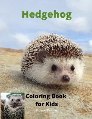 Libro para colorear de erizos para niños: Libro de actividades infantiles para niños y niñas de 3 a 8 años con un erizo superlindo Un regalo superguay para niños y niñas de 3 a 8 años - Hedgehog Coloring Book for Kids: Children Activity Book for Boys and Girls Ages 3-8 with Super Cute Hedgehog A Super Cool Gift for Boys and Girls Ages