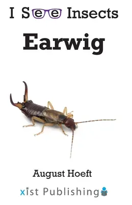 Tijereta - Earwig