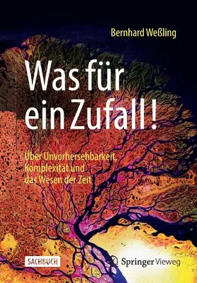 Was Fr Ein Zufall!: ber Unvorhersehbarkeit, Komplexitt Und Das Wesen Der Zeit