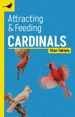 Cómo atraer y alimentar a los cardenales - Attracting & Feeding Cardinals