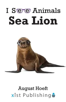 León marino - Sea Lion