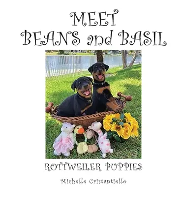 Conoce a las alubias y la albahaca - Meet Beans and Basil
