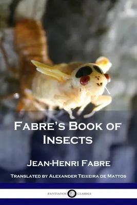 El libro de los insectos de Fabre - Fabre's Book of Insects