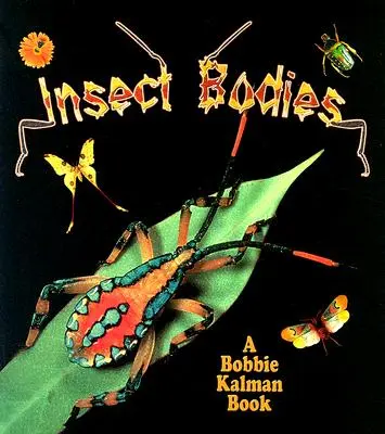 Cuerpos de insectos - Insect Bodies