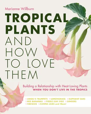 Plantas tropicales y cómo amarlas: Cómo relacionarse con plantas amantes del calor cuando no se vive en el trópico - Trompetas de ángel - Lemongra - Tropical Plants and How to Love Them: Building a Relationship with Heat-Loving Plants When You Don't Live in the Tropics - Angel's Trumpets - Lemongra