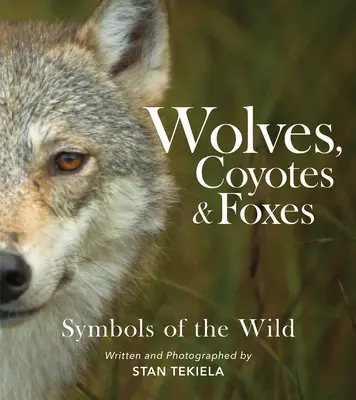 Lobos, coyotes y zorros: Símbolos de la naturaleza - Wolves, Coyotes & Foxes: Symbols of the Wild