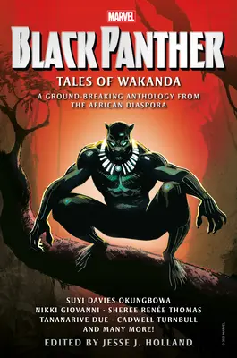 Pantera Negra: Historias de Wakanda - Black Panther: Tales of Wakanda