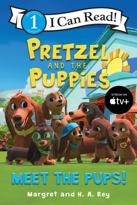 Pretzel y los Cachorros: ¡Conoce a los cachorros! - Pretzel and the Puppies: Meet the Pups!