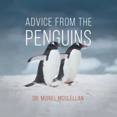 Consejos de los pingüinos - Advice from the Penguins