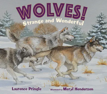 Lobos Extraño y Maravilloso - Wolves! Strange and Wonderful