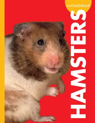 Curiosidad por los hámsters - Curious about Hamsters