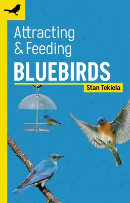 Cómo atraer y alimentar a los pájaros azules - Attracting & Feeding Bluebirds