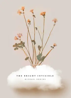 El Invisible Brillante - The Bright Invisible