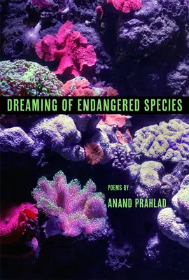 Soñar con especies en peligro - Dreaming of Endangered Species