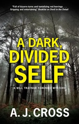 Un Yo Oscuro y Dividido - A Dark, Divided Self