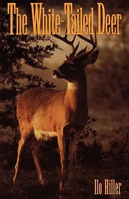El ciervo de cola blanca - The White-Tailed Deer