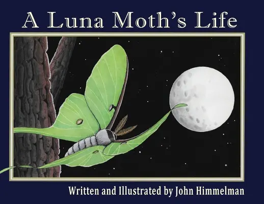 La vida de una mariposa luna - A Luna Moth's Life