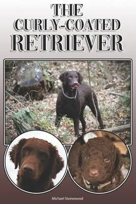 El Retriever de pelo rizado: A Complete and Comprehensive Owners Guide To: La compra, la propiedad, la salud, el aseo, el adiestramiento, la obediencia, la comprensión y la educación del perro. - The Curly-Coated Retriever: A Complete and Comprehensive Owners Guide To: Buying, Owning, Health, Grooming, Training, Obedience, Understanding and