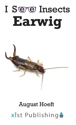 Tijereta - Earwig