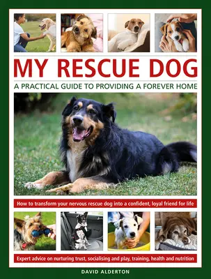 Mi perro de rescate - My Rescue Dog