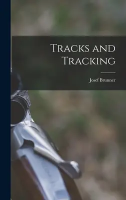 Pistas y seguimiento - Tracks and Tracking