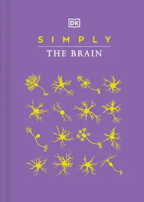 Simplemente el cerebro - Simply the Brain