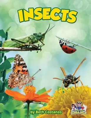 Insectos - Insects