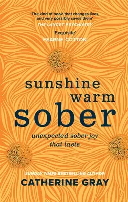 El sol calienta la sobriedad: La inesperada alegría de estar sobrio para siempre - Sunshine Warm Sober: The Unexpected Joy of Being Sober - Forever