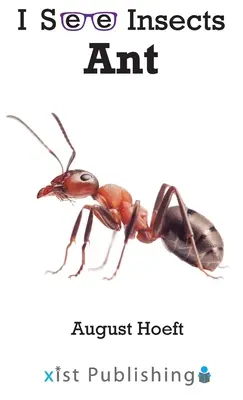 Hormiga - Ant