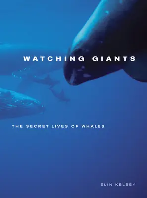 Observando gigantes: La vida secreta de las ballenas - Watching Giants: The Secret Lives of Whales