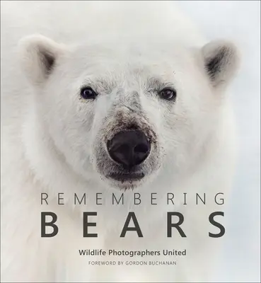 Recordando osos - Remembering Bears