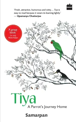 Tiya: El viaje de un loro a casa - Tiya: A Parrot's Journey Home