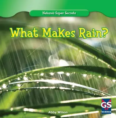 ¿Qué hace llover? - What Makes Rain?