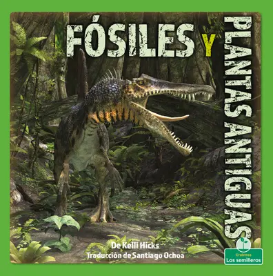 Fsiles Y Plantas Antiguas (Fósiles y Plantas Antiguas) - Fsiles Y Plantas Antiguas (Fossils and Ancient Plants)