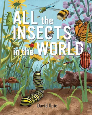 Todos los insectos del mundo - All the Insects in the World