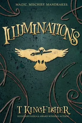 Iluminaciones - Illuminations