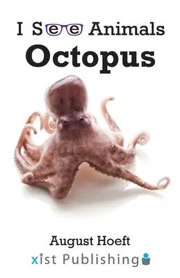 Pulpo - Octopus