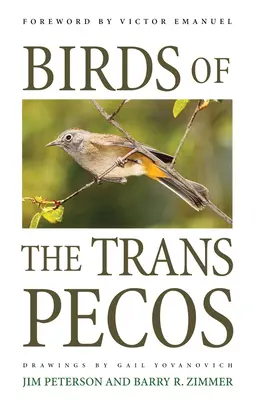 Aves del Trans-Pecos - Birds of the Trans-Pecos