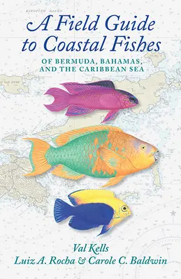 Guía de campo de los peces costeros de Bermudas, Bahamas y el mar Caribe - A Field Guide to Coastal Fishes of Bermuda, Bahamas, and the Caribbean Sea