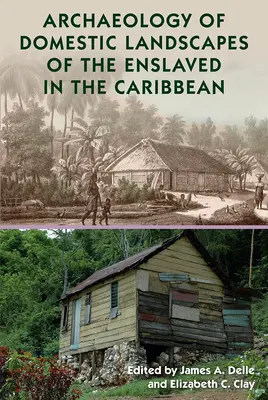 Arqueología de los paisajes domésticos de los esclavizados en el Caribe - Archaeology of Domestic Landscapes of the Enslaved in the Caribbean