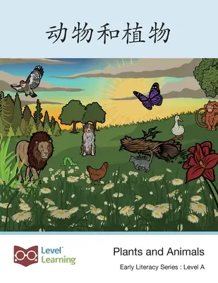 动物和植物: Plantas y animales - 动物和植物: Plants and Animals