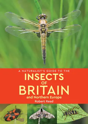 Guía del naturalista sobre los insectos de Gran Bretaña y el norte de Europa - A Naturalist's Guide to the Insects of Britain & Northern Europe