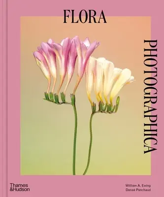 Flora Photographica: La flor en la fotografía contemporánea - Flora Photographica: The Flower in Contemporary Photography