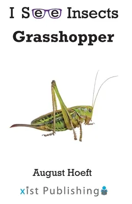 Saltamontes - Grasshopper
